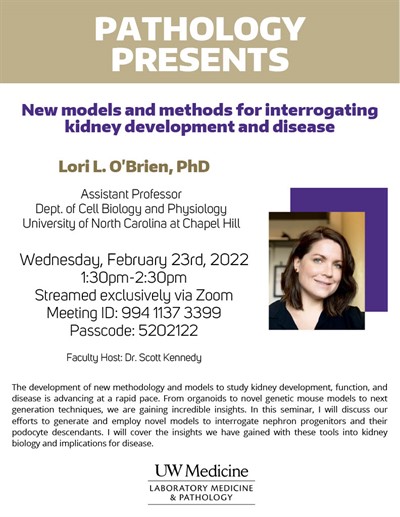 Pathology Presents: Lori O'Brien, PhD - New models and methods for interrogating kidney development and disease