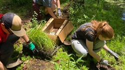 Community Volunteer Day