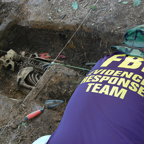 The Body Farm: What the Bones Reveal