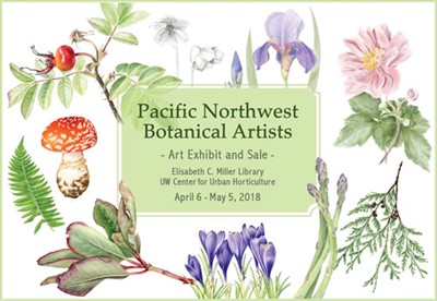 Art Exhibit: Pacific Northwest Botanical Artists Group Show