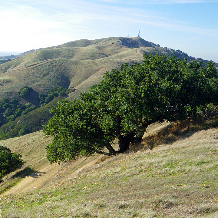 Big Rock to Summit