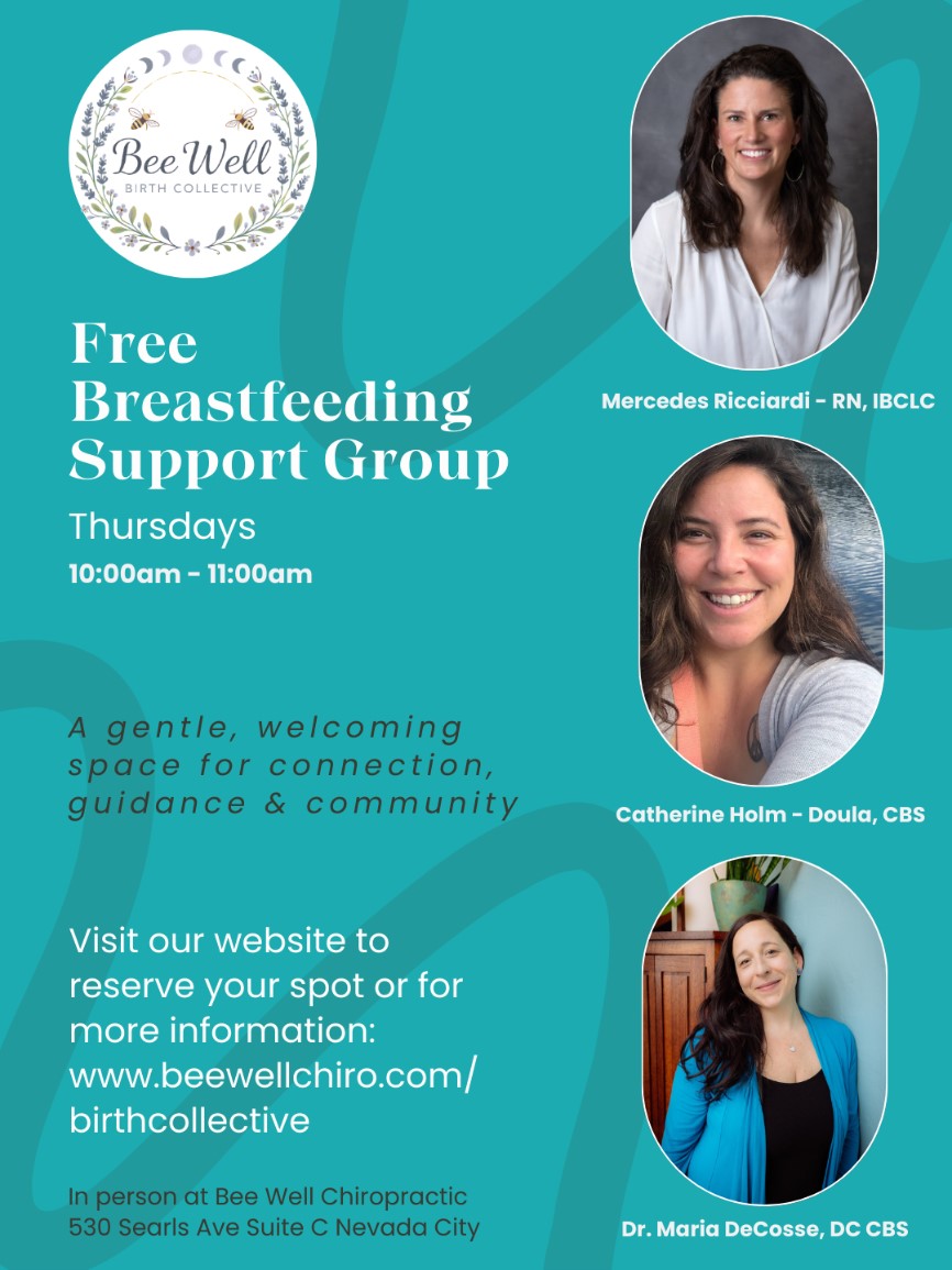 Free Breastfeeding Support Group every Monday at Bee Well Chiropractic