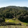 Hike and Chi Gong