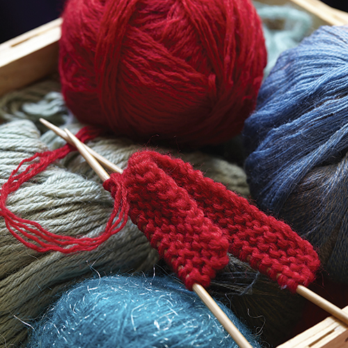 Knitting for Beginners: Learning the Basics (In Person)