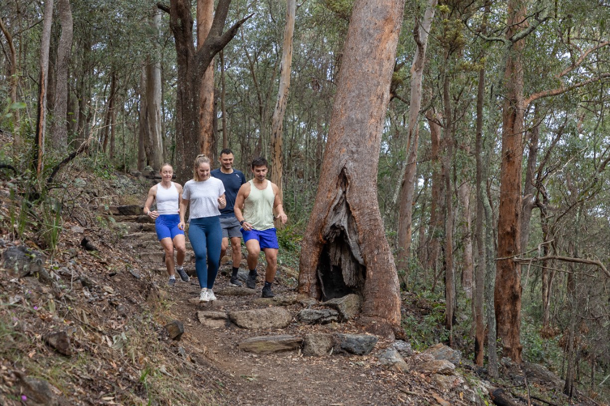 Run Wild: Trail Runs