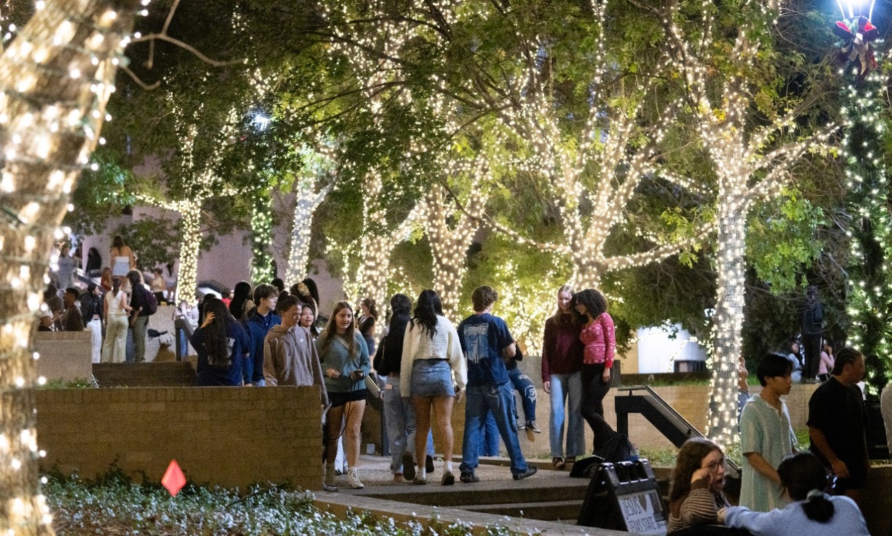 TXST Winter Lights