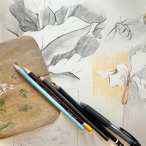 Sketching the Smithsonian: Weekly Lunchtime Daytime Series