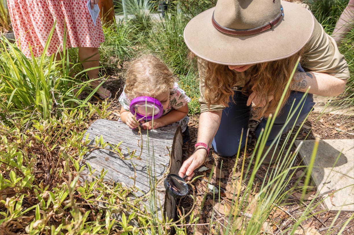 Bush Kindy: Australian Pollinator Week