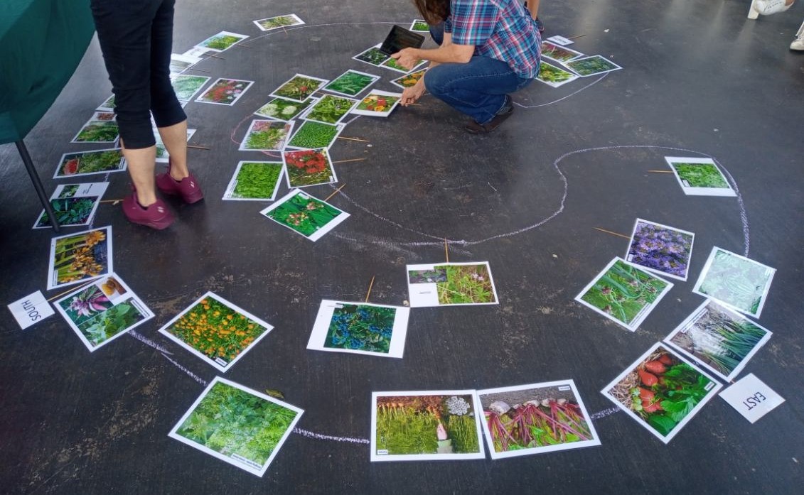 Design a backyard food forest