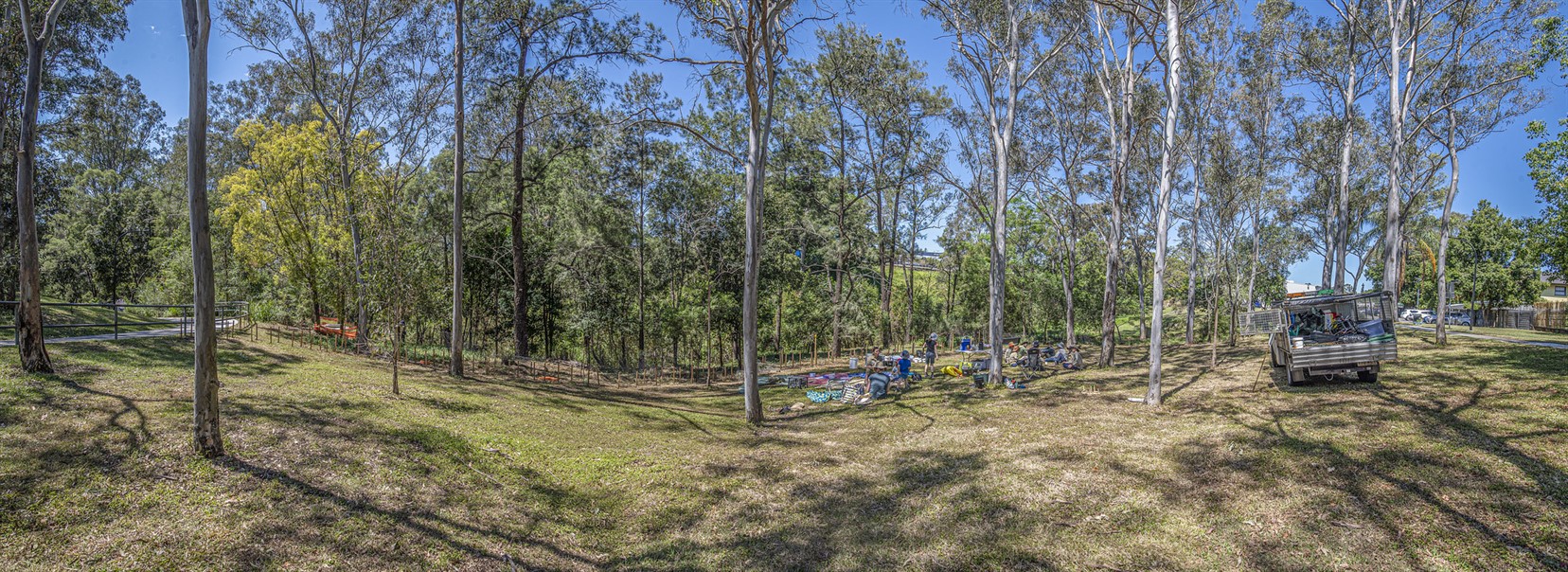Volunteer Bushcare Working Bee - Harman's Reserve Bushcare Group