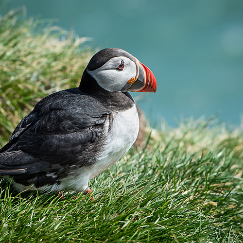 Understanding Your Digital Mirrorless or SLR Camera