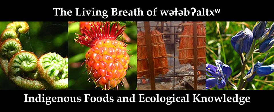 "The Living Breath of wǝɫǝbʔaltxʷ"  Indigenous Foods and Ecological Knowledge Symposium