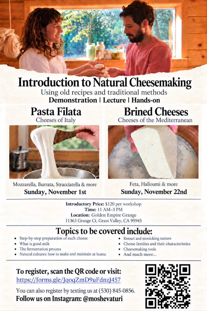 Natural Cheesemaking Workshops