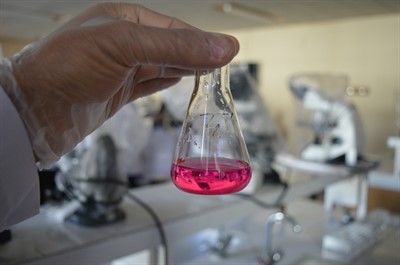 Biomedical Research Integrity (BRI):  Conflict of Interest, Competition, and Cooperation in Science