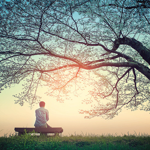 Forest Bathing 101