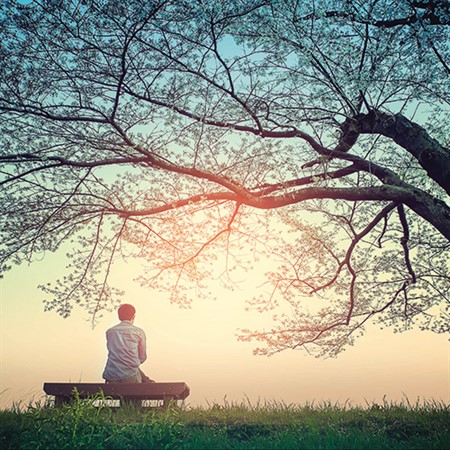 Forest Bathing 101