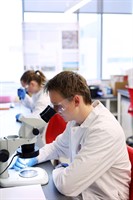 Two student researchers wearing PPE and looking into microscopes