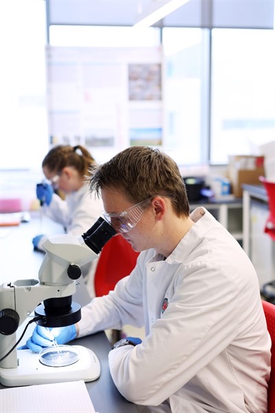 Two student researchers wearing PPE and looking into microscopes Two student researchers wearing PPE and looking into microscopes
