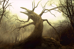 Gothic Nature: New Directions in Eco-horror and the EcoGothic