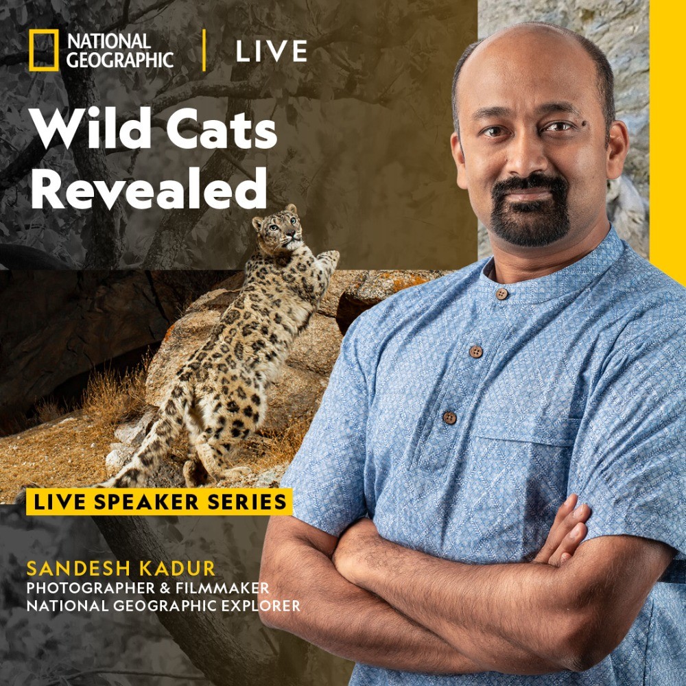 Onstage Ogden presents National Geographic Live: Wild Cats Revealed with Sandesh Kadur