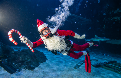 Christmas Underwater at Adventure Aquarium