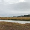 Landscape Stewardship