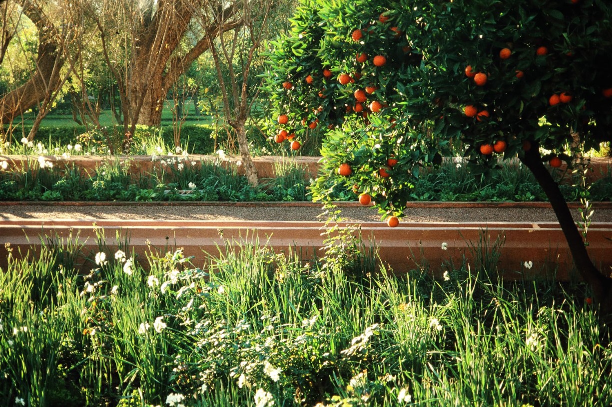Beyond Babur's Gardens: A Symposium in Honor of Elizabeth Moynihan (Day 1 of 3) Event Image