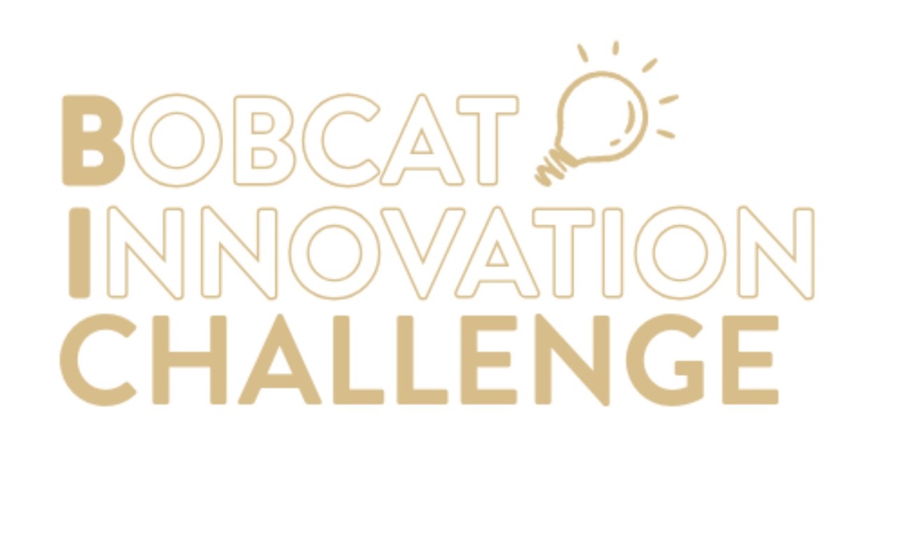 BIC Workshop: Pricing & Revenue Models