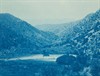 Third Saturday for Families: Cyanotype Prints Third Saturday for Families: Cyanotype Prints