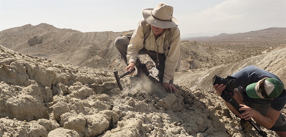 Natural History on the Big Screen: The Bearded Lady Project