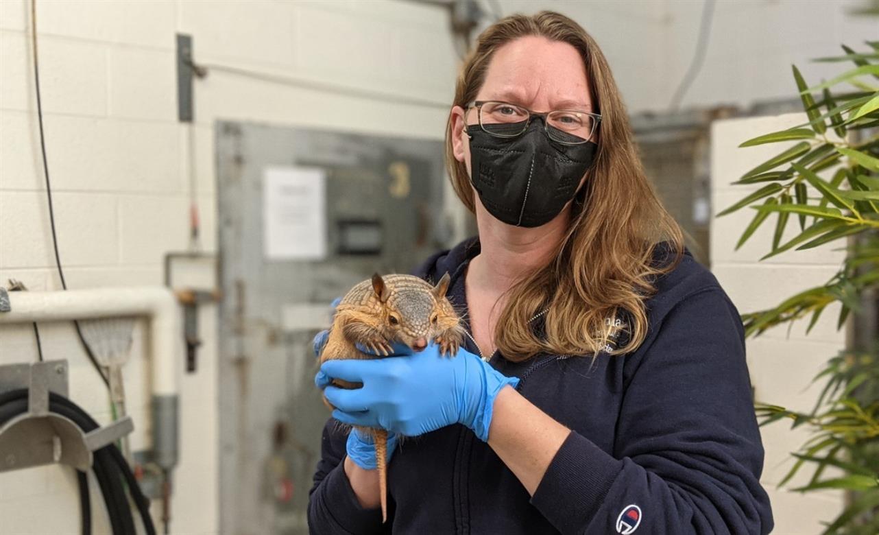 Erin Kendrick with armadillo