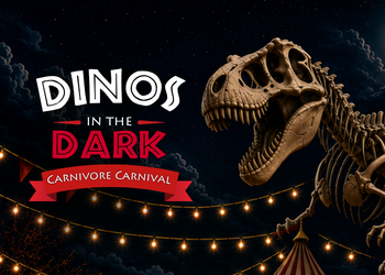 Ogden Dinosaur Park Dinos in the Dark