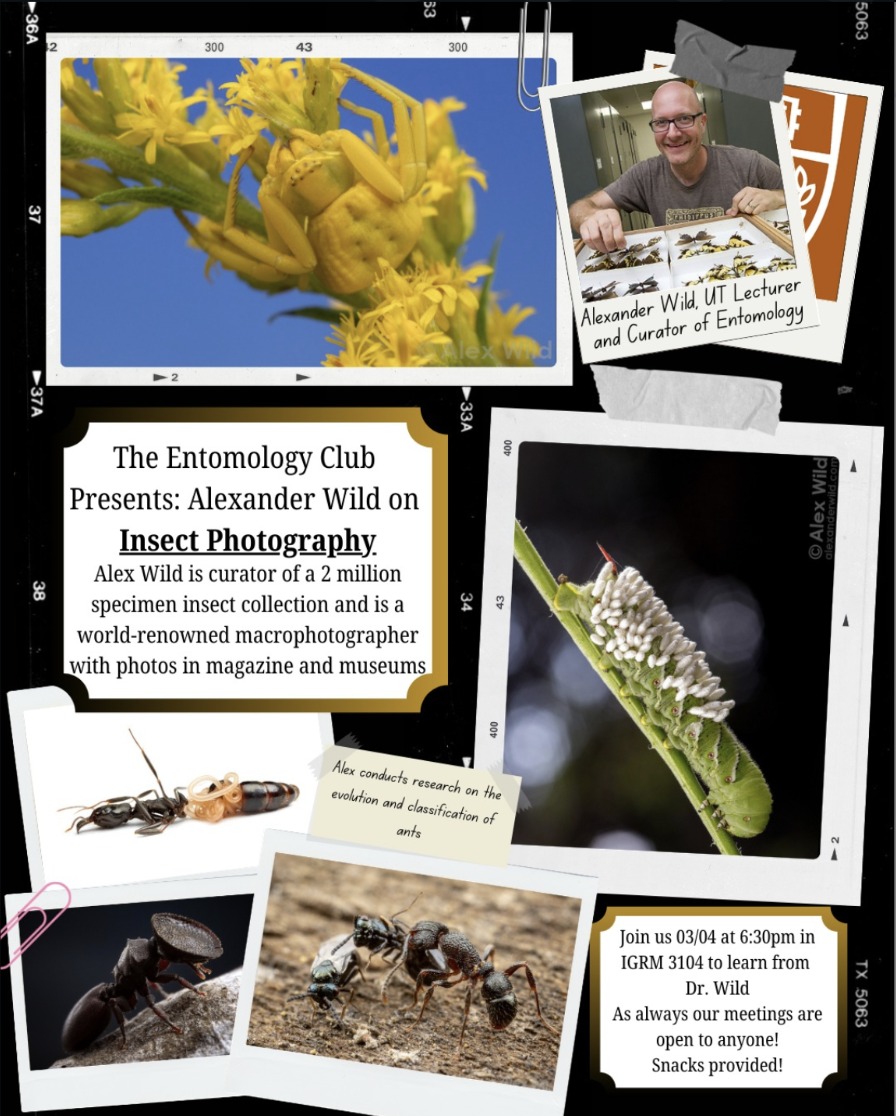 Insect Photography Guest Speaker- Alexander Wild