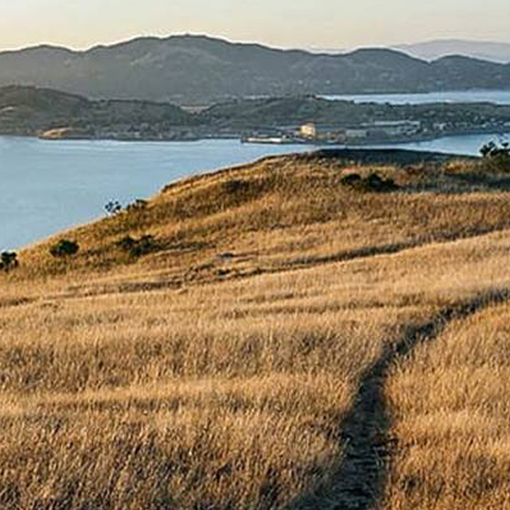 CANCELED - Rare Plants of the Tiburon Peninsula