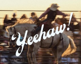 Boston Rodeo & Music Festival