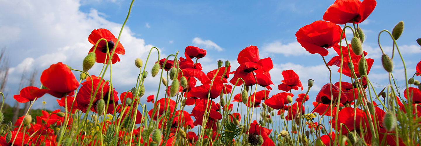 ANZAC Day
