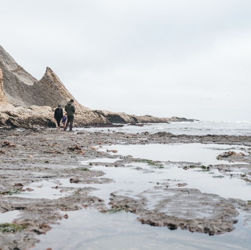 Family Tide Pool Adventure