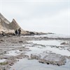Kid's Tide Pooling