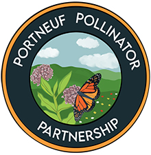 Celebrate National Pollinator Week!