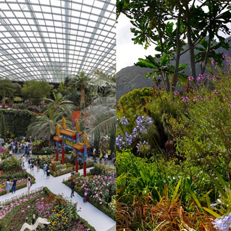 Beautiful Destinations: Botanical Gardens of the World