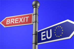 Brexit discussion with Vice Provost and University of Birmingham Vice Provost