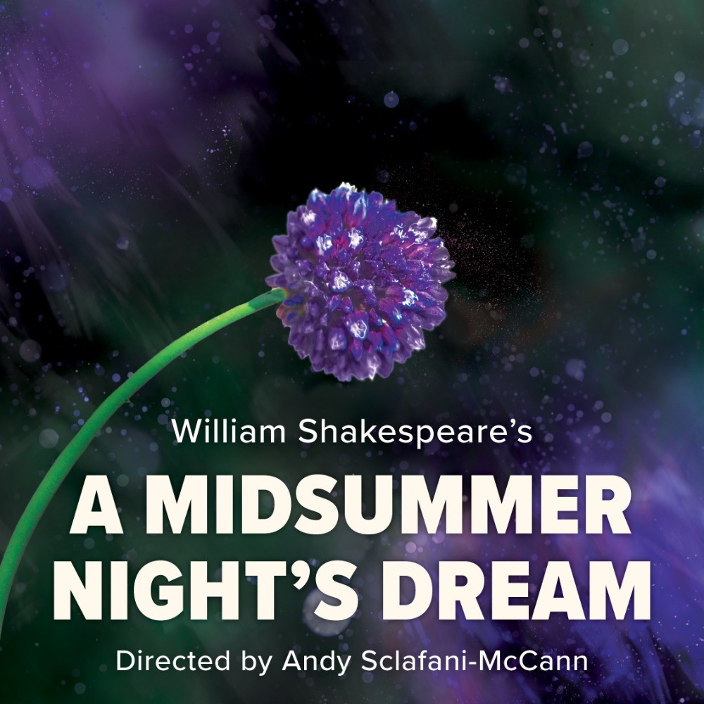 A Mid Summer NIght's Dream
