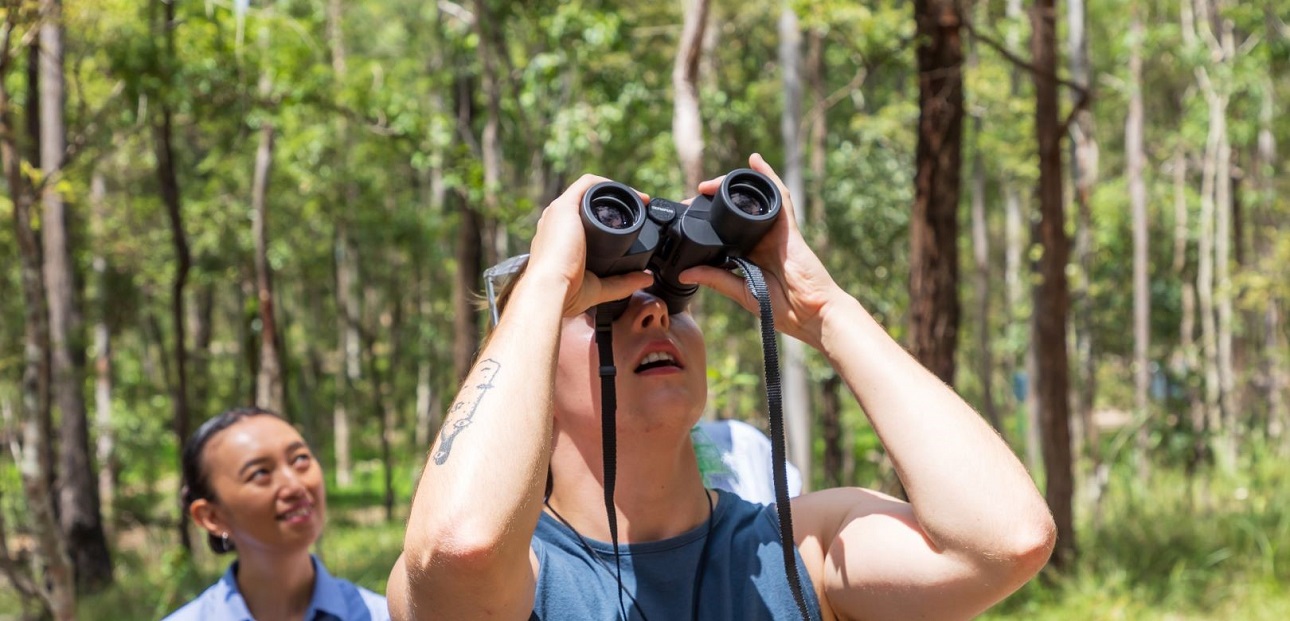 Guided bird watching walk