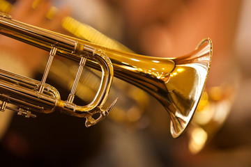 Musicians Forum | Somos Músicos