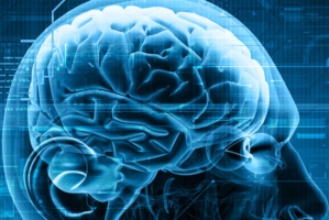 The Cinematic Brain: Mapping the Human Emotion Circuits with Motion Pictures