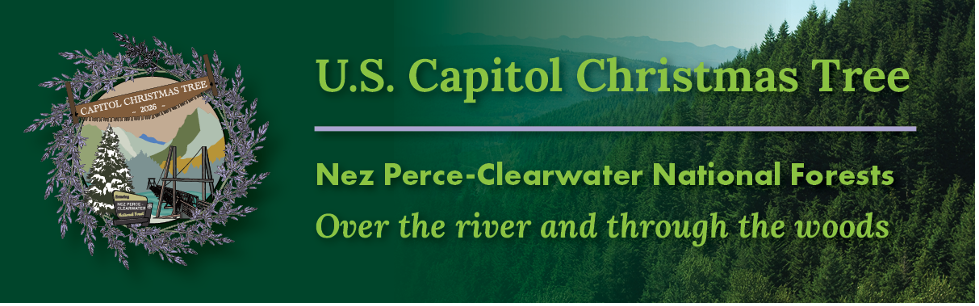 U.S. Capitol Christmas Tree Whistle Stop Tour