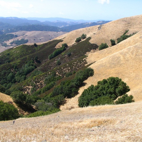 Lucas Valley Poor Farm and Cemetery