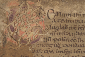 Women’s words: Women in the Book of Leinster