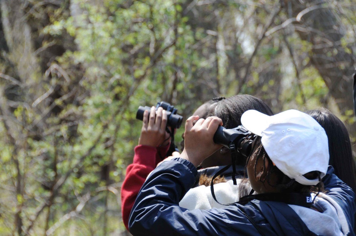 STEM Day: Birding with the Smithsonian