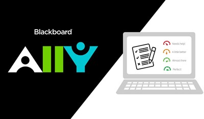 Need Help with Canvas Accessibility? Use Your Ally (Report)!